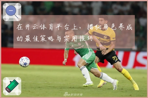 在开云体育平台上，揭秘角色养成的最佳策略与实用技巧