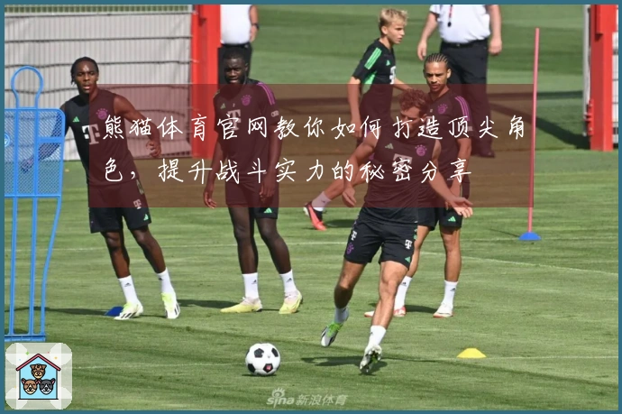 熊猫体育官网教你如何打造顶尖角色，提升战斗实力的秘密分享